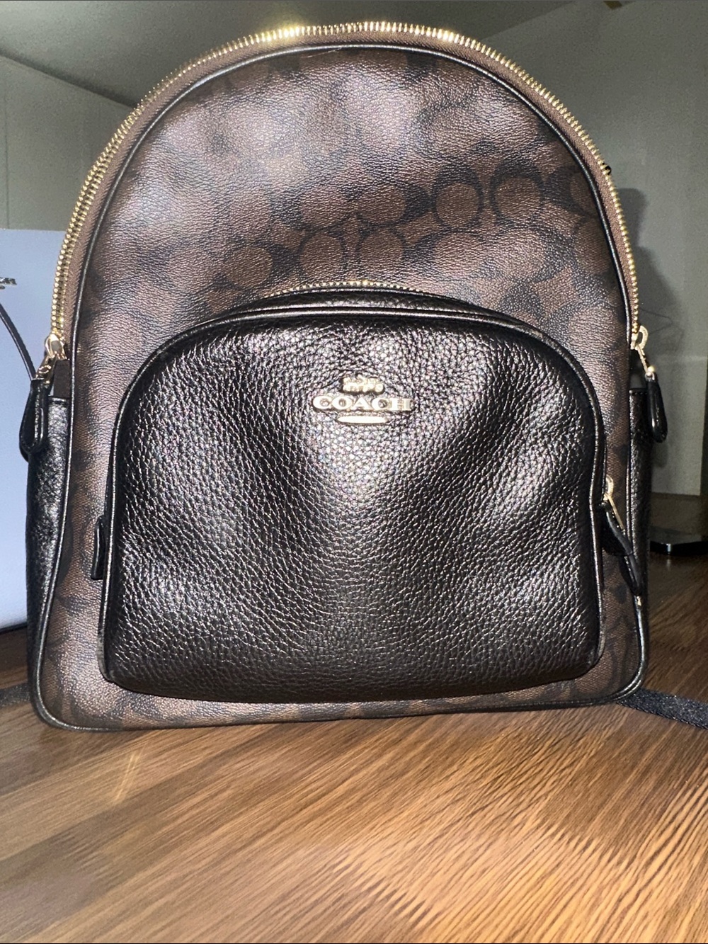 Coach Dark Brown Signature Leather Mini Backpack with Gold Hardware